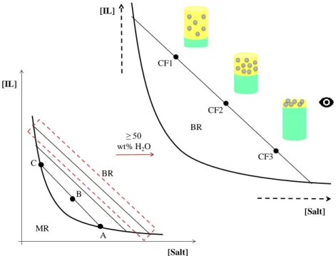 Figure 3. Ternary phase diagram (orthogonal representation) for a hypothetical system composed of IL +  Salt + H 2 O (left image); Schematic representation of the concentration factor achievable through the variation 