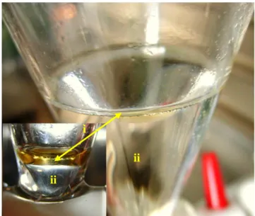 Figure 5. ABS formed by IL + Salt + H 2 O: (i) IL-rich phase; (ii) salt-rich phase. The reduced IL-rich phase  volume is due to the increased concentration along a given TL (estimated concentration factor of ca