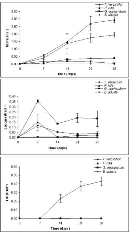 Figure 2.1 – Ligninolytic enzyme activities of white-rot fungi during the incubation period