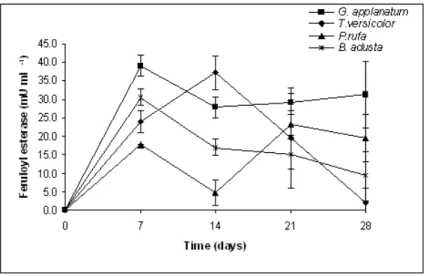 Figure 2.3 -  Feruloyl  esterase  enzyme  activity  of  white-rot  fungi  during  the  incubation  period