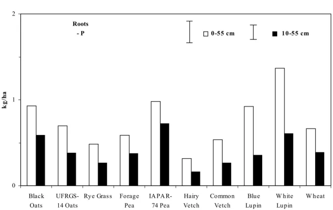 Figure 1 - Phosphorus content in the cover crop root system without P-fertilizer. Vertical bars indicate          mean separation by Tukey’s test applied at 5 % level of probability