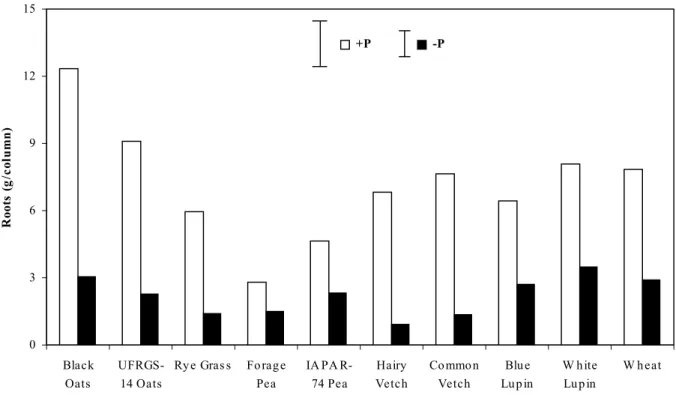 Figure 4 - Root dry matter of the cover crops with and without P-fertilizer. Vertical bars indicate  mean separation by Tukey’s test applied at 5 % level of probability