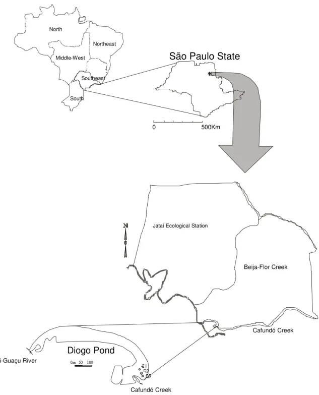 Figure 1 - Map of Brazil showing the São Paulo State, the location of Jataí Ecological Station, Diogo Pond, and sampling sites (S1, S2 and S3).