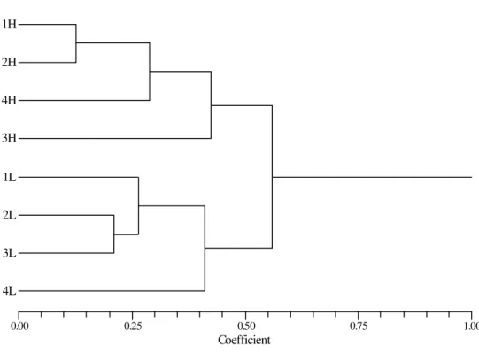 Figure 3 - Cluster using a Bray-Curtis similarity measure for the sampling spots in high (H) and  low (L) temperatures for the fish comunity of the Fortaleza lagoon during the period  from November 1998 to October 1999