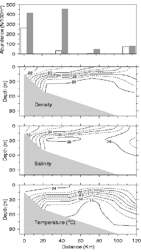 Figure 4 - Physical structure in vertical section (from coast to 200 m isobaths) of the sub-region 2  (Santos-São Sebastião)
