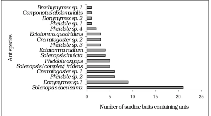 Figure 1 - Abundance of predaceous ant species, considering all days of sampling in the São João Mill