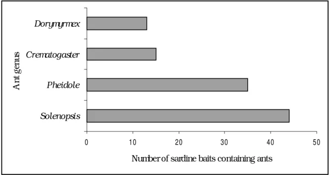 Figure 3 - Abundance of the four main predaceous ant genus, considering all days of sampling in the Barra Mill