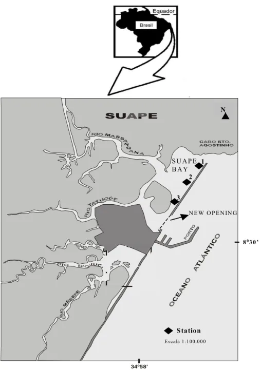 Figure 1 - Studied area of Suape (Pernambuco, Brazil) and stations localization. 