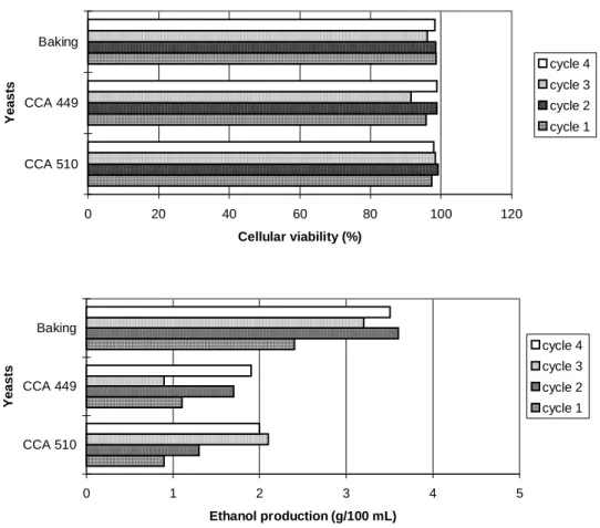 Figure 4 - Cellular viability (%) and ethanol production (g/100 mL) during batch alcoholic  fermentation, in 4-liter fermentor, at 30 0  C, using clarified sugarcane juice (10 0 Brix), 20% inoculum, with cell recycling (four 12-hour cycles), using killer y