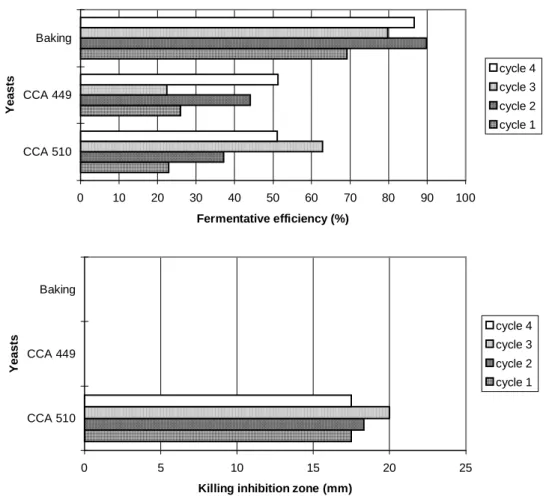 Figure 5 - Fermentative efficiency (%) and killing inhibition zone (mm) 1  during batch alcoholic  fermentation, in 4-liter fermentor, at 30 0  C, using clarified sugarcane juice (10 0 Brix), 20% inoculum, with cell recycling (four 12-hour cycles), using k