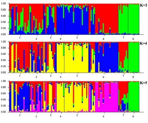 Fig. 4 Hierarchical organization of genetic relatedness of 118 unique hazelnut genotypes based on ten SSR markers and analyzed by the STRUCTURE program, with three, four, and five populations ( K =3, K =4, and K = 5)