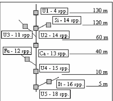 Figure 2 - Sketch representing the altitudinal position of the sampling sites and respective species  diversity