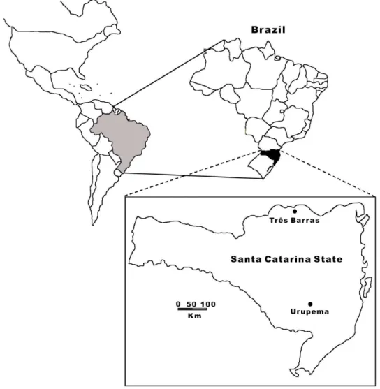 Figure 1 - Location of the studied areas in Santa Catarina State. southern Brazil. Núcleo de Pesquisas  em Florestas Tropicais / UFSC