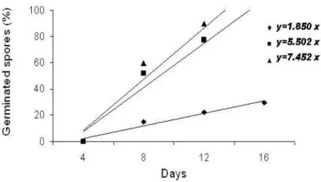 Figure 2 - Three contrasting behaviors with relationship to spore’s germination time represented by  three  individuals  of  Xaxim  (Dicksonia  sellowiana)