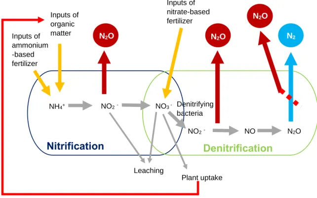 Figure 3 – Schematic of N 2 O emissions and consume processes (original). 