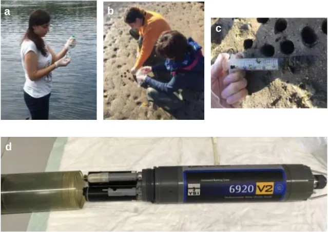 Figure 5 –Sampling collection (water collection (a), sediments collection (b, c)), and  multiparametric sonde used to measure water variables in situ (d)