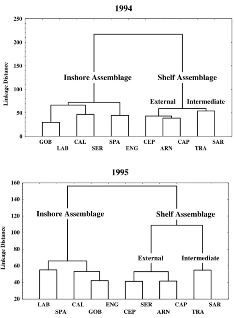 Figure 3 - Dendrogram representing fish larvae assemblages in the Gulf of Cádiz during summer  of 1994 and 1995