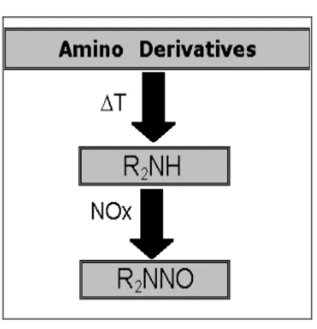 Figure 1 - N-Nitrosamines formation.