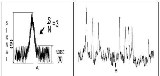 Figure 3 - A - Relation noise-signal that identifies the absolute detection limit. B - Amplified region of the chromatogram from the 20 ng/mL standard.