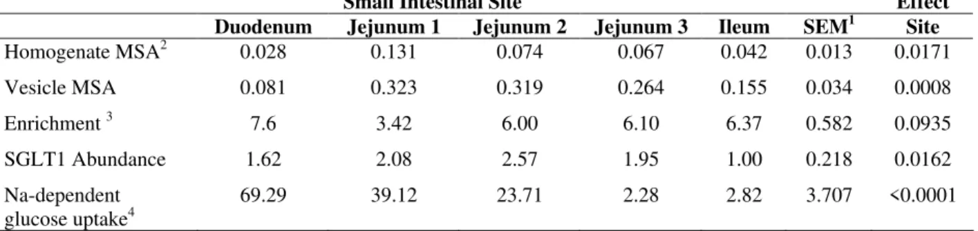 Table 2 - Maltase specific activity (MSA) in vesicle and homogenate, SGLT1 abundance and Na-dependent glucose  uptake along the small intestine of calves infused with water, HS, casein and HS + casein