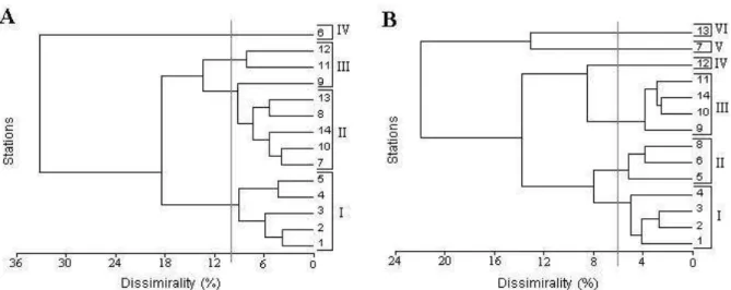 Figure 6 - Clusters from the group analysis of the study stations, based on the biotic measurements  obtained between November/98 and March/99 in transects A and B