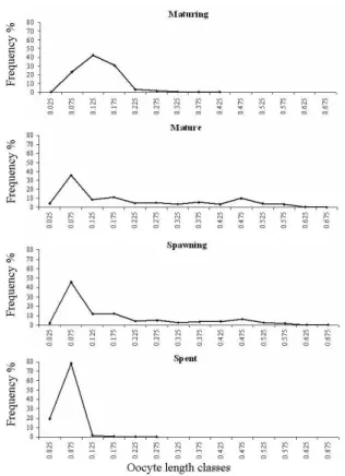 Figure 3 - Relative frequency distribution of oocytes diameters in the different gonadal maturation  stages  in  Bryconamericus  stramineus