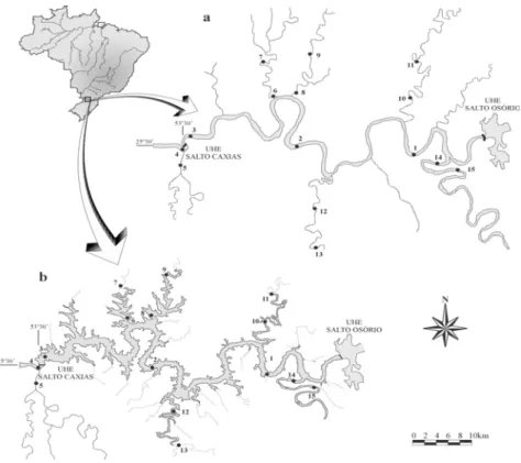 Figure 1 - Map of the studied area. Iguaçu river (a) and Salto Caxias reservoir (b) [sites 1  to 3 = main body of the river or reservoir (RI); 4 = downstream from the dam  (DO); 5,7,9,11,13 and 15 = tributaries upper sections (TU); 6, 8, 10, 12 and 14 