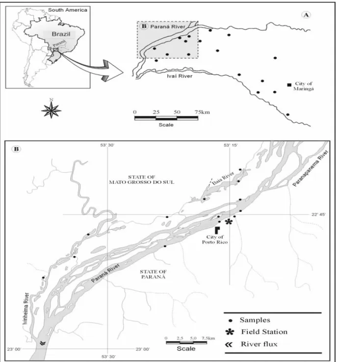 Figure 1 - Study area (A. Northwestern region of the Paraná State; B. Upper Paraná river floodplain)