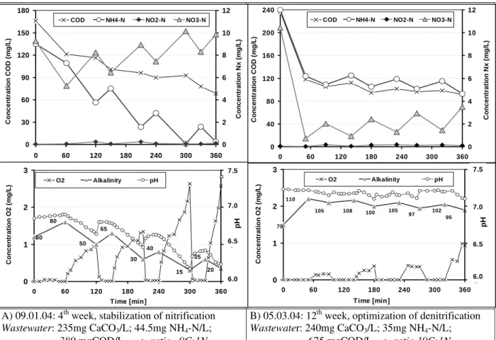 Fig. 3A shows the same nitrification velocity in all  the  four  aerated  nitrification  phases