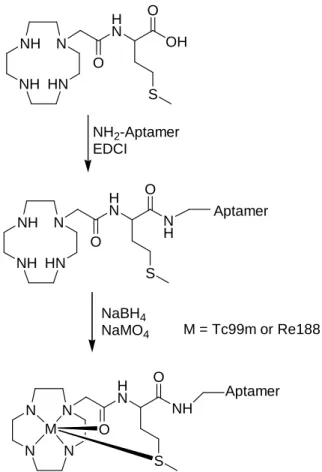 Figure 1 - Post-labelling of an aptamer with a chelator of interest. 