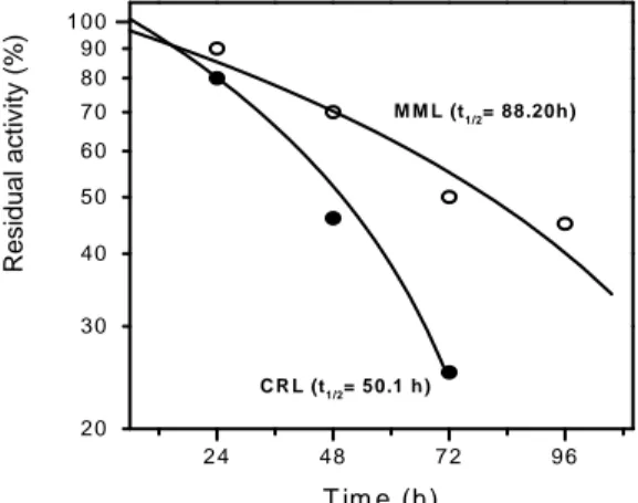Figure 1 - Batch operational stability tests for MML and CRL immobilized on POS- PVA. Initial  synthetic activities were: 287.55 µmol.g -1 .min -1  for MML and 116.95 µmol.g -1 .min -1  for  CRL