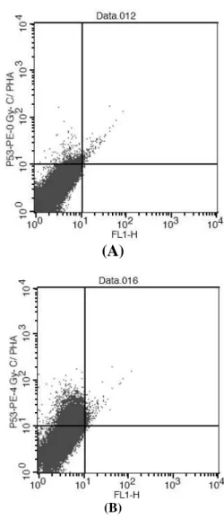 Figure 4 - Dot-plot from (A) non-irradiated sample and (B) irradiated one with 4 Gy. 