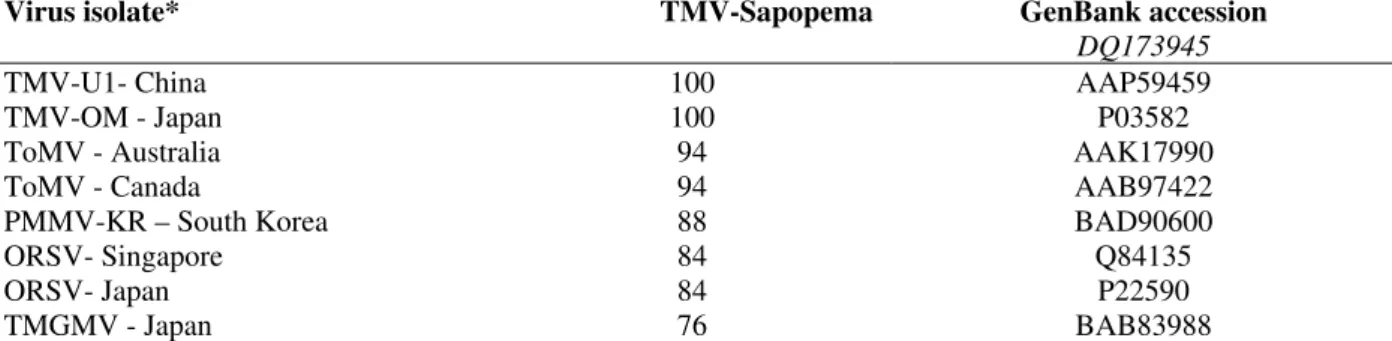 Table 2 - Percentage of identities of the deduced amino acid sequence of the 409 bp RT-PCR product located in the  movement protein gene of TMV from Sapopema-PR, compared to sequences from GenBank