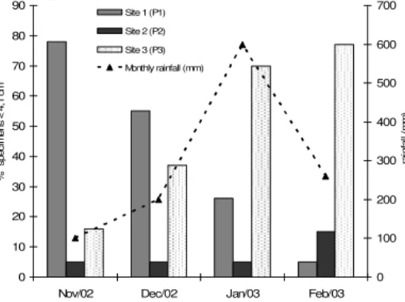 Figure 4 - Distribution of D. langei with less to 4.1 cm of Lt (total length classes 1, 2 and 3) in  three sampling sites of Ribeirão stream basin from November 2002 to February 2003,  periods with discrepant rainfall