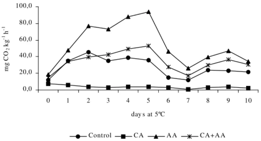 Figure 2 - Respiratory rate (mg CO 2  kg -1  h -1 ) of fresh-cut radishes with different antioxidant; CA =  citric acid, AA = ascorbic acid