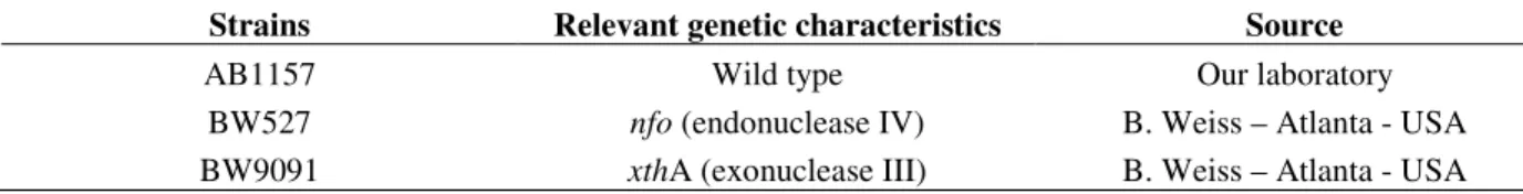 Table 1 - Escherichia coli K12 strains and their relevant genetic characteristics for this study