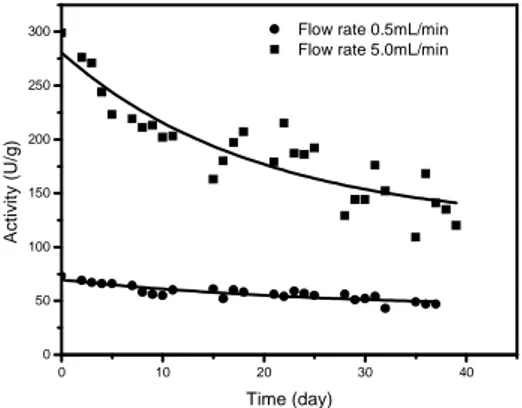 Figure 5 - Fixed bed reactor with microfiltrated whey as substrate, at 45°C. 