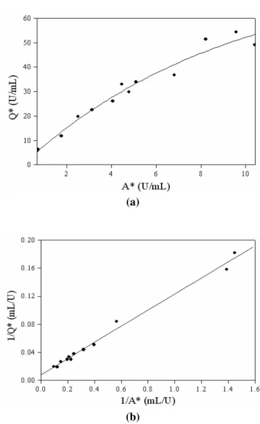 Figure  3  -  Adsorption  isotherm  for  amyloglucosidase  using  a  fresh  prepared  ion  exchange  resin  DEAE-cellulose  with  0.025M  Tris-HCl  buffer,  pH  8.0  at  25ºC