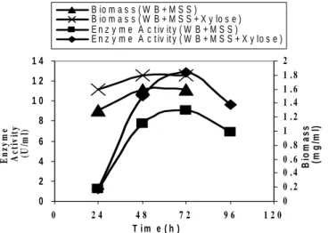 Figure 1- Effect of xylose on xylanase production and biomass production by the Bacillus sp on  wheat bran supplemented with mineral salt solution (MSS) by SmF