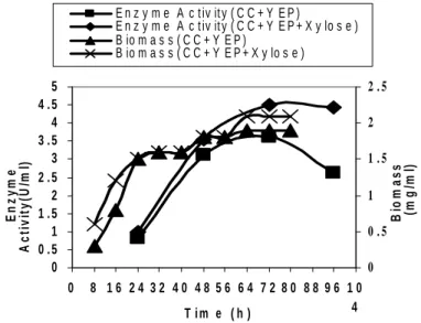 Figure 4 - Effect of xylose on xylanase production  and biomass production by the Bacillus sp on  corn cob supplemented with yeast extract and peptone (YEP) by SmF