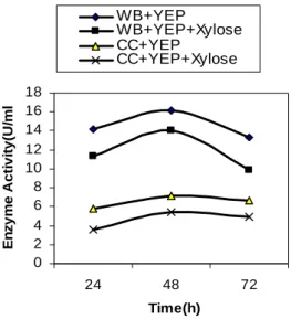 Figure 6 - Effect of xylose on xylanase production by the Bacillus sp on wheat bran and corn cob  media supplemented with YEP under SSF