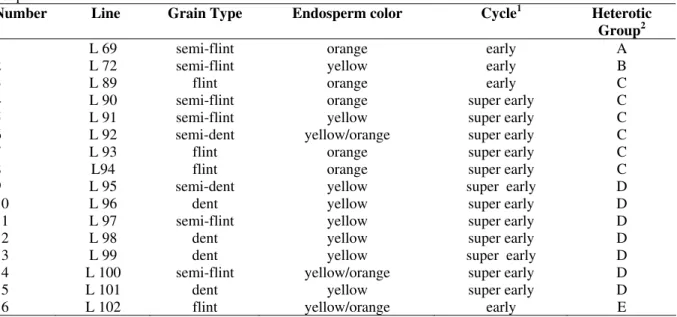 Table 1 - Characterization of lines employed with regard to grain type, endosperm color, cycle, and heterotic  groups