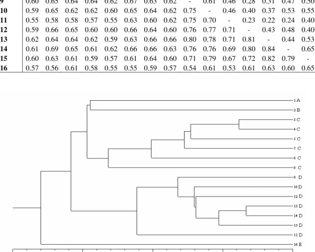 Figure 1 - Clustering (UPGMA) of 16 maize inbred lines based on RAPD data. 