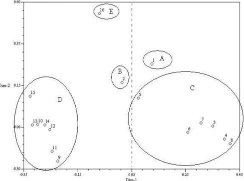 Figure  4  -  Principal  coordinate  analysis  obtained  by  RAPD  and  microsatellite  markers,  where  lines  showed  a  tendency  to  separate  into  two  groups  according  to  endosperm  color