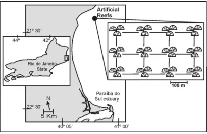 Figure 1 - Study site on the northern coast of the Rio de Janeiro state (21º29’S', 41º00’W') and  schematic representation of the artificial modules.