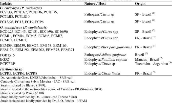 Table 2 - Isolates of the citrus pathogen G. citricarpa, the citrus endophyte G. mangiferae, Phyllosticta spinarum  and Phyllosticta species from other host species used in the RAPD analyses and PCR tests