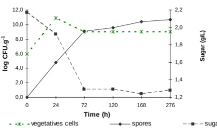 Figure 5 - Bacillus atrophaeus kinetics' spores production by SSF in plastic bags 