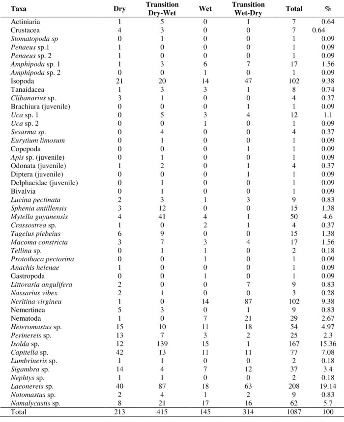 Table  1  -  Seasonal  variation  in  abundance  of  taxa  (number  of  individuals  summed  over  36  replicate  cores  per  season) and percentage contribution to overall abundance