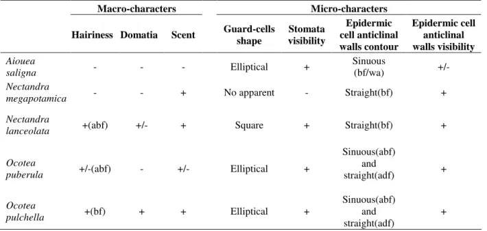 Table  1  -  Leaf  surface  characters  used  for  taxonomic  differentiation  in  Lauraceae  species