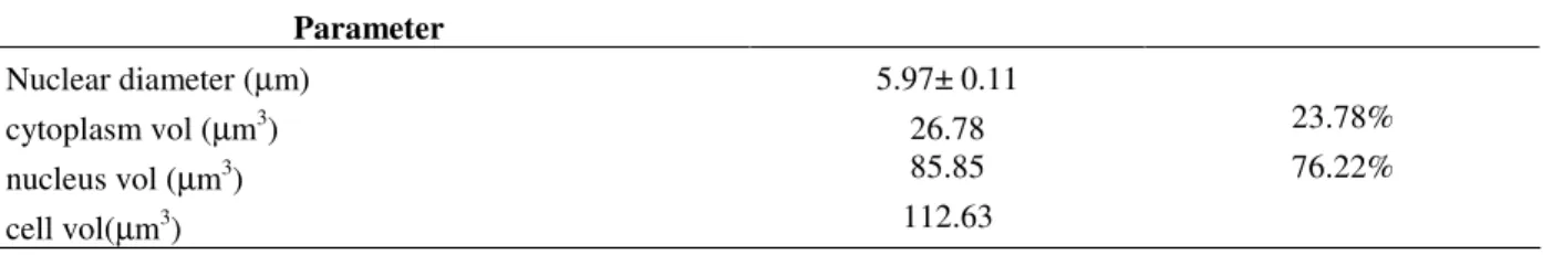 Table 1 - Morphometrics parameters of Leydig cell of L. catesbeianus bred in captivity
